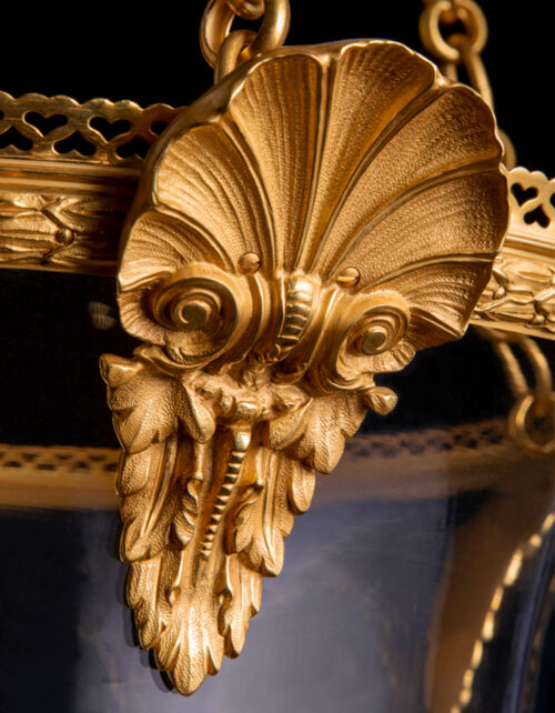 Coquille – Image 3