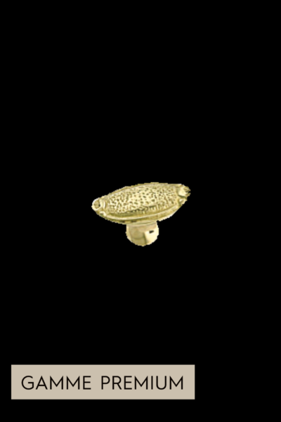 Bouton de placard 0315